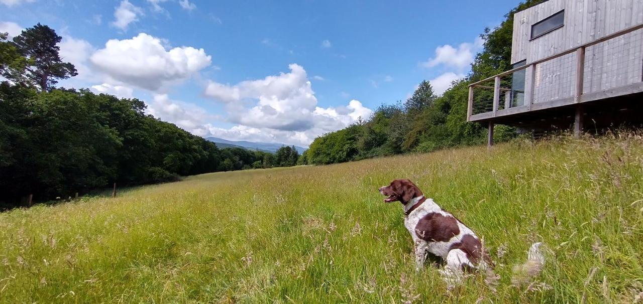 Nire Valley Eco Camp Ballymacarbry Luaran gambar